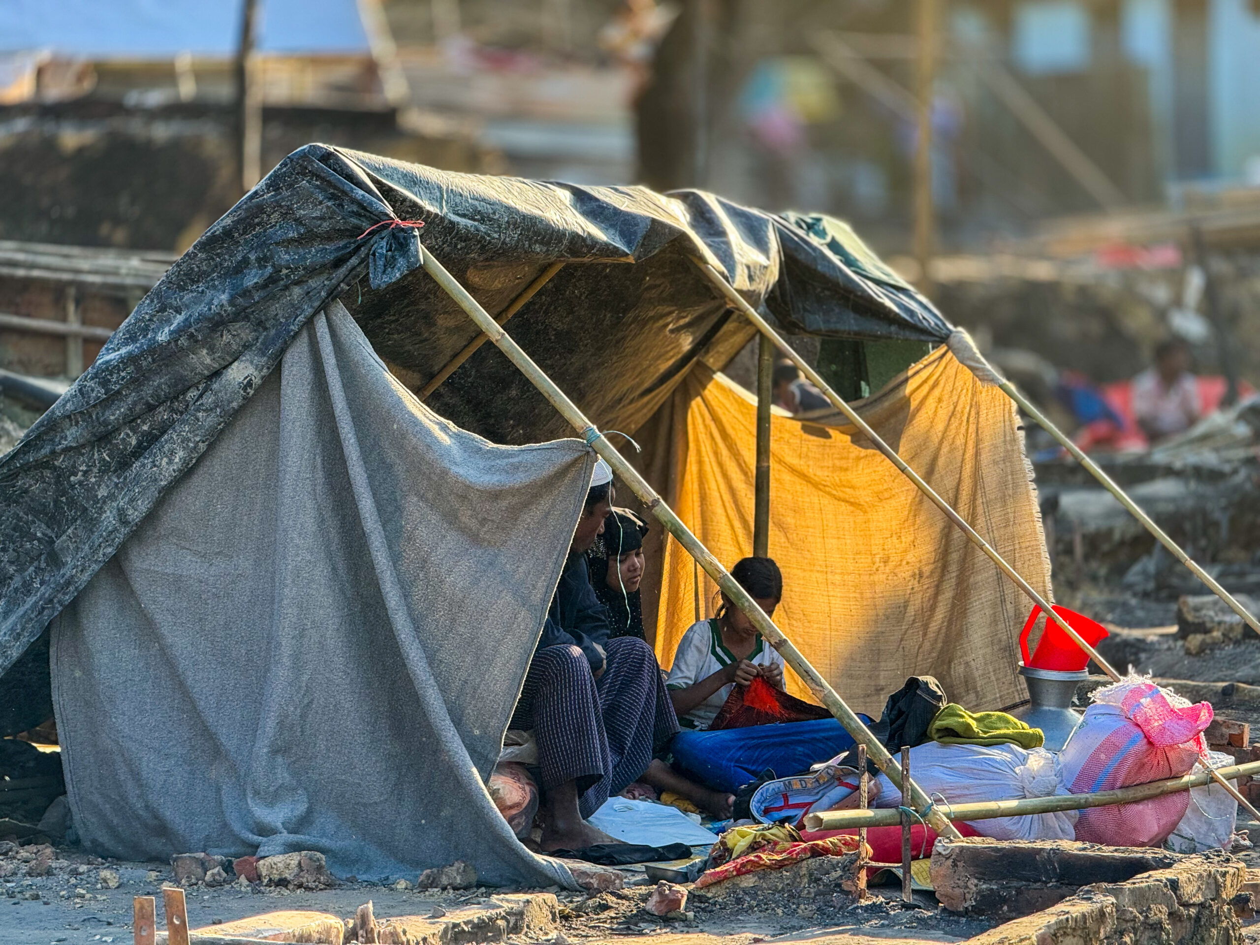 仙人掌　live on refugee Live On Refugee Ep - Dogear Recordsxxxxxxxx